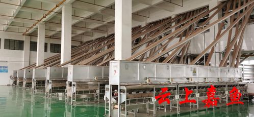 聯創食品產銷兩旺